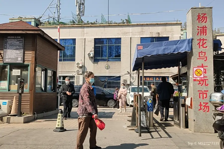 Yangpu Park bird and flower Market