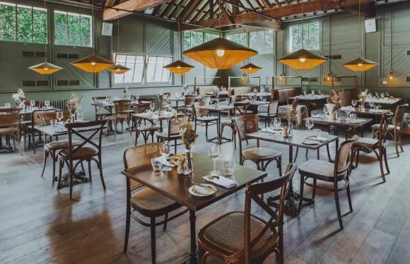 The Zebra Riding Club