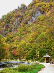 Jinyinxia Scenic Area