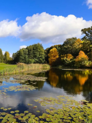 Myślęcinek Leśny Park Kultury i Wypoczynku