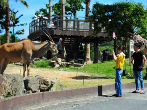 Adventure World