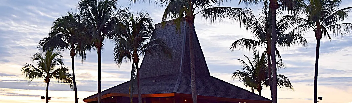Restaurants for Views & Experiences
