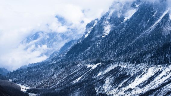 Hailuogou Glacier Forest Park - Glacier Viewing Area