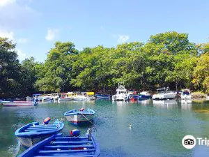 Gri-Gri Lagoon