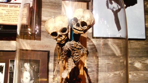 Ripley's Believe It or Not!