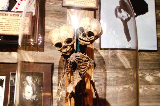 Ripley's Believe It or Not!