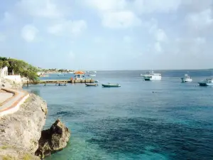 Dive Friends Bonaire