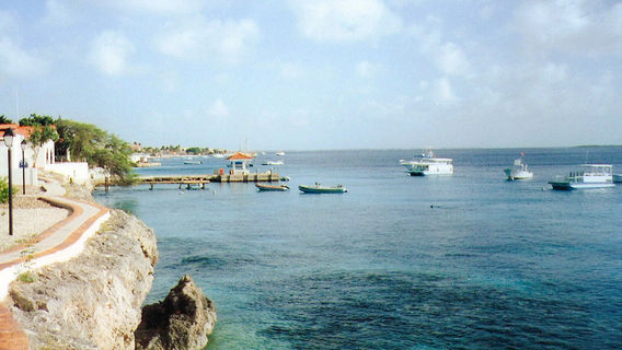 Dive Friends Bonaire @ Yellow Submarine