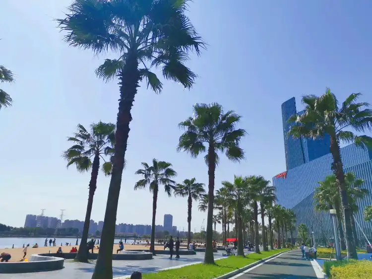 Hotels near Jinshahu Park