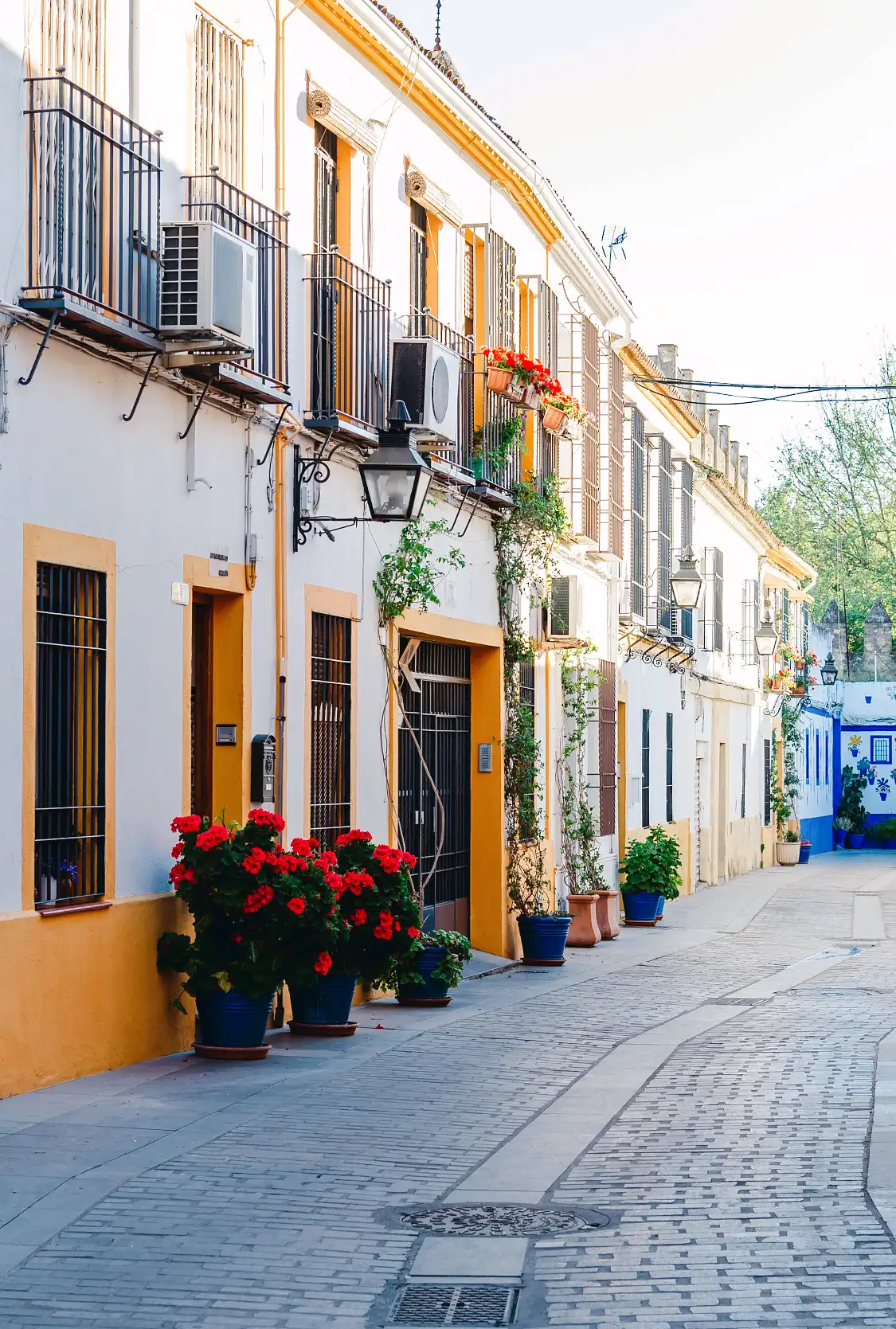 鄰近舊猶太人街的酒店