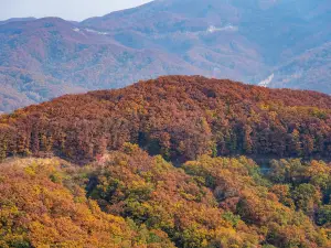 朱雀山國家森林公園