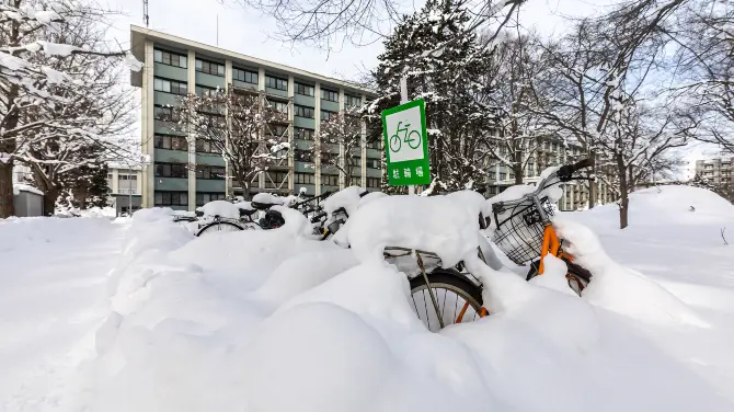 5_北海道大學