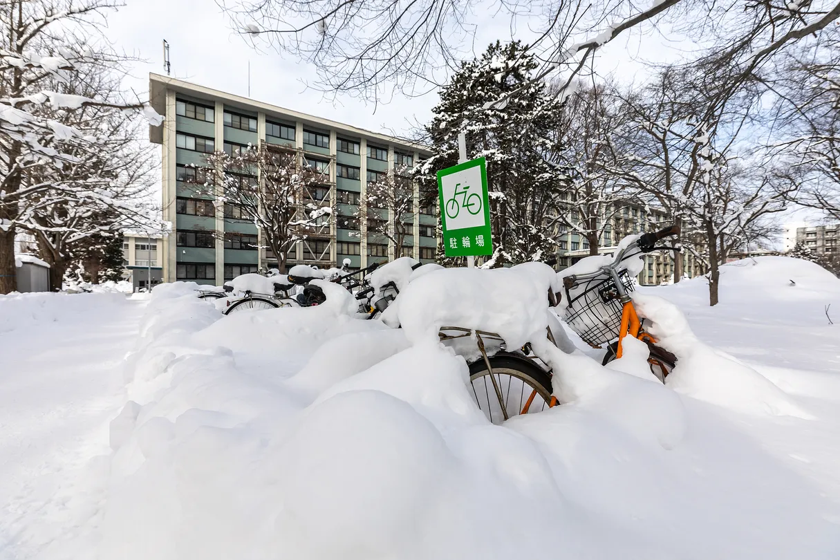 5_北海道大學