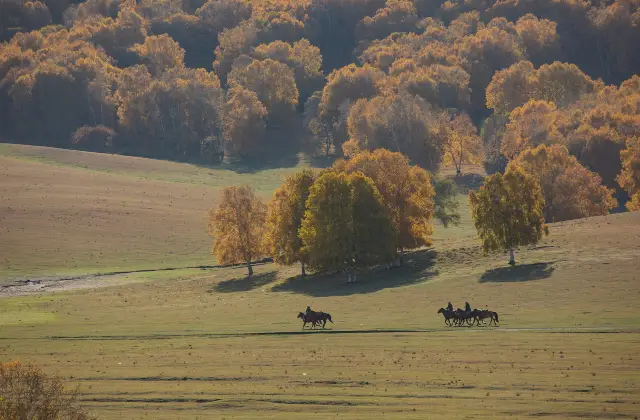 Horse Riding in Ulanqab