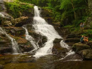 Shelving Rock Area of the Lake George Wild Forest