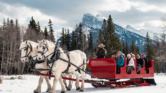 Snow Sledding in Banff