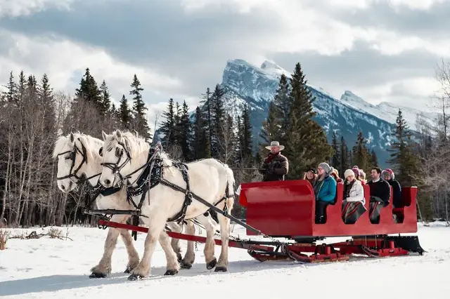 Snow Sledding in Banff