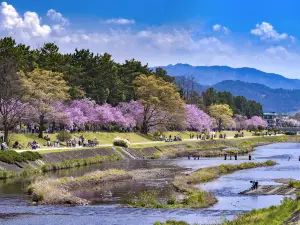 Kamo River