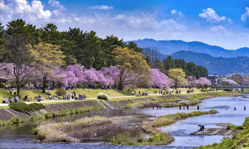 Kamo River