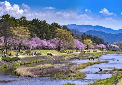 Kamo River