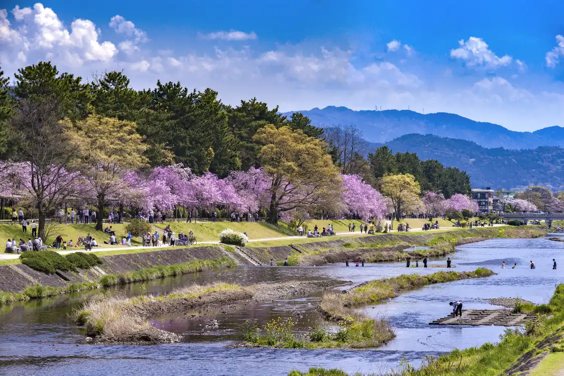 Hotels near Kamo River