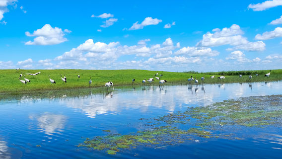 Zhalong Ecotourism Area