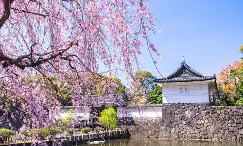 Imperial Palace
