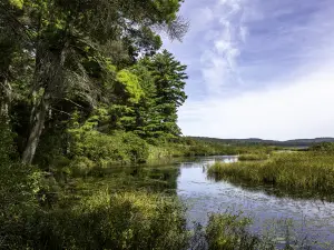 阿爾岡金省立公園