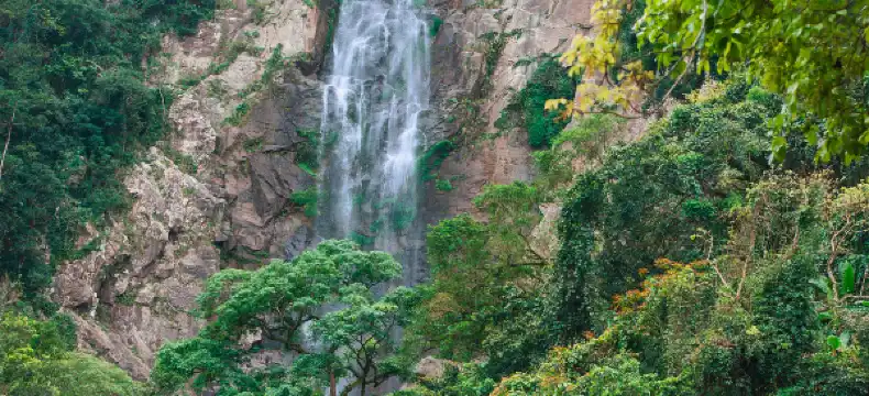 Hotels in Baisha