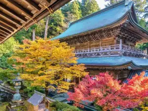 福井縣的熱門遊賞秋景好去處