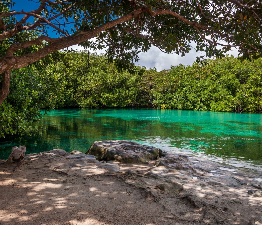 Tankah Bay
