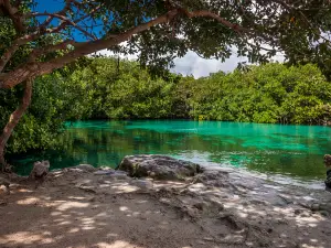 Casa Cenote