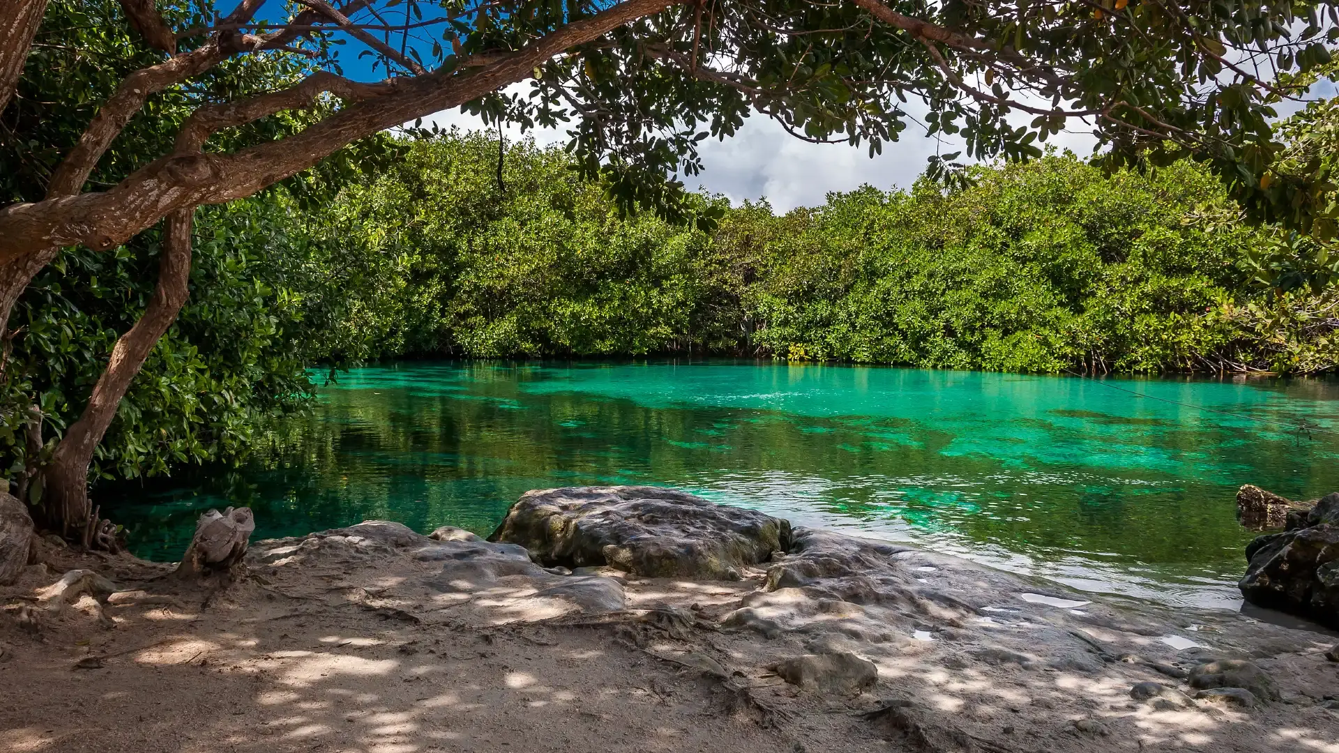 Hotels near Casa Cenote