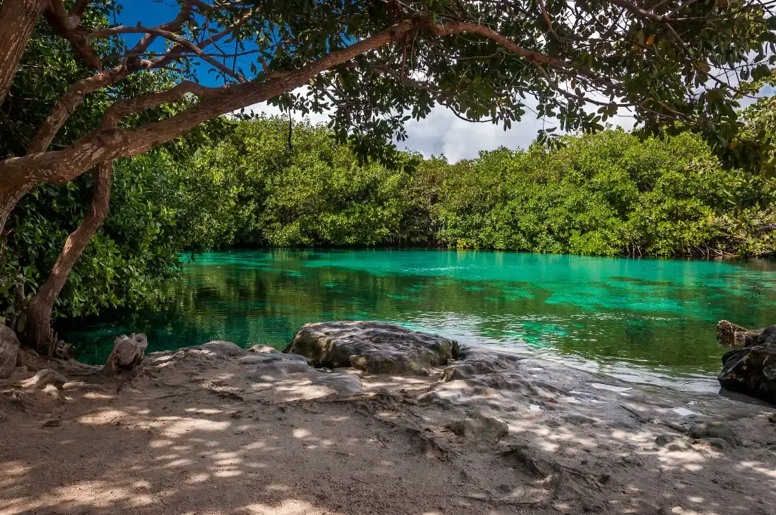 Hotels near Casa Cenote