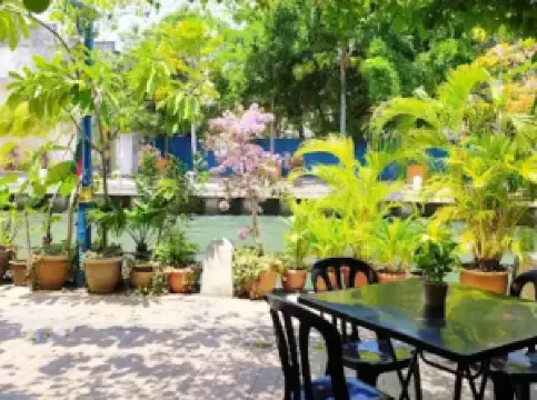 Wild Coriander Melaka