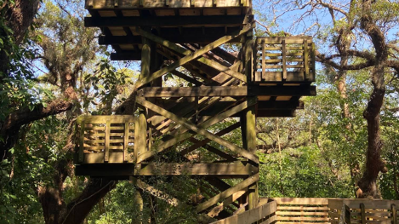 Tree Tops Park