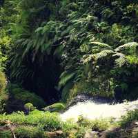 Ciwangun Indah Camp