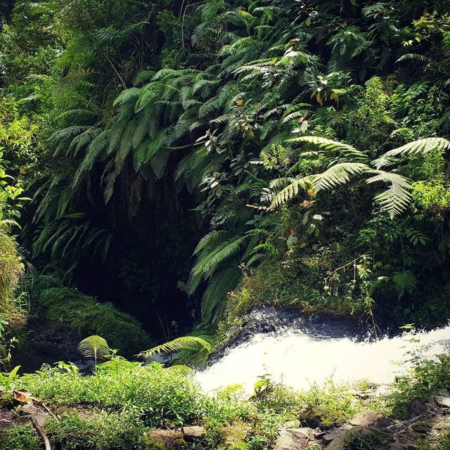 Ciwangun Indah Camp