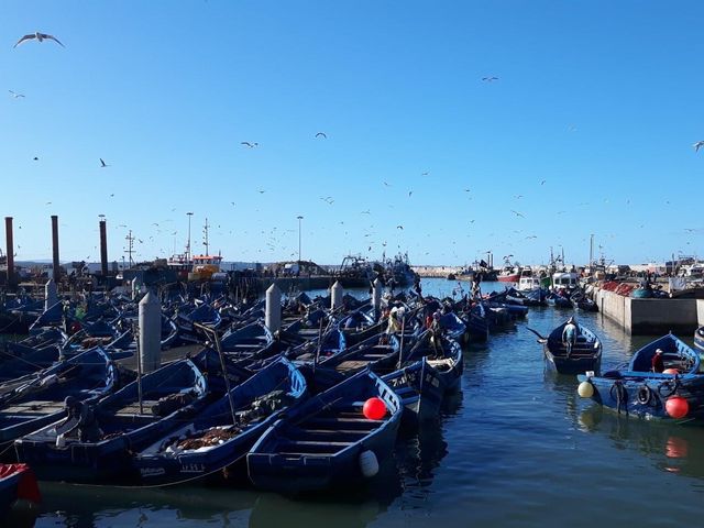 Essaouira blues 