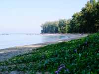 The beach that got featured in movies