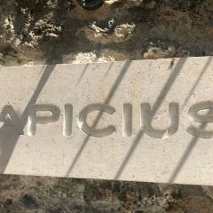 Apicius張用戶圖片