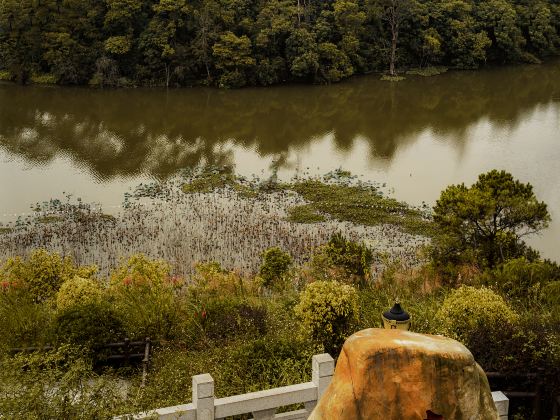 Qinzhou Garden Expo Park