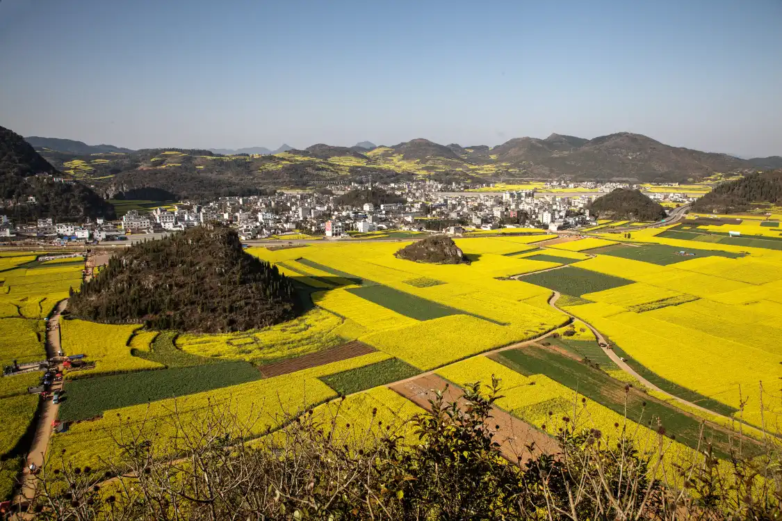 鄰近羅平壩子的酒店