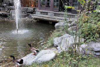 FORUM HUYUAN RESTAURANT user photo