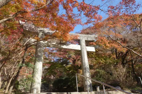 Dazaifu-tenmangu Shrine