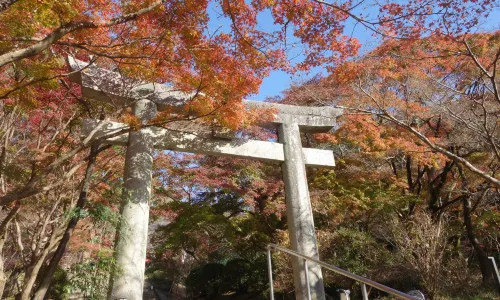 Dazaifu-tenmangu Shrine