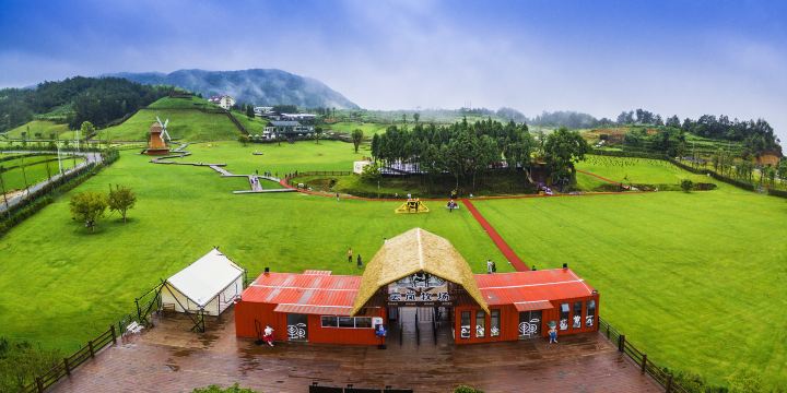 Sunshine Lawn Ranch