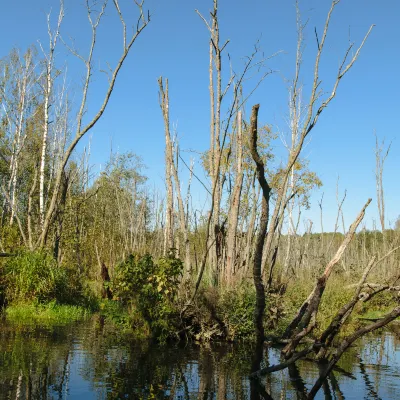 Для бизнес-поездок Отели в г. Чансина