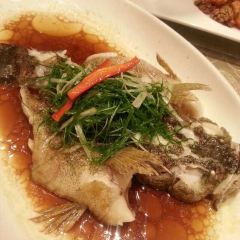 Azmi Steam Fish User Photo