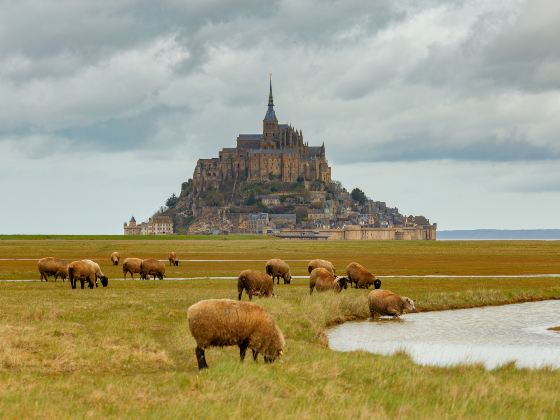 Abbaye de Mont-St-Michel